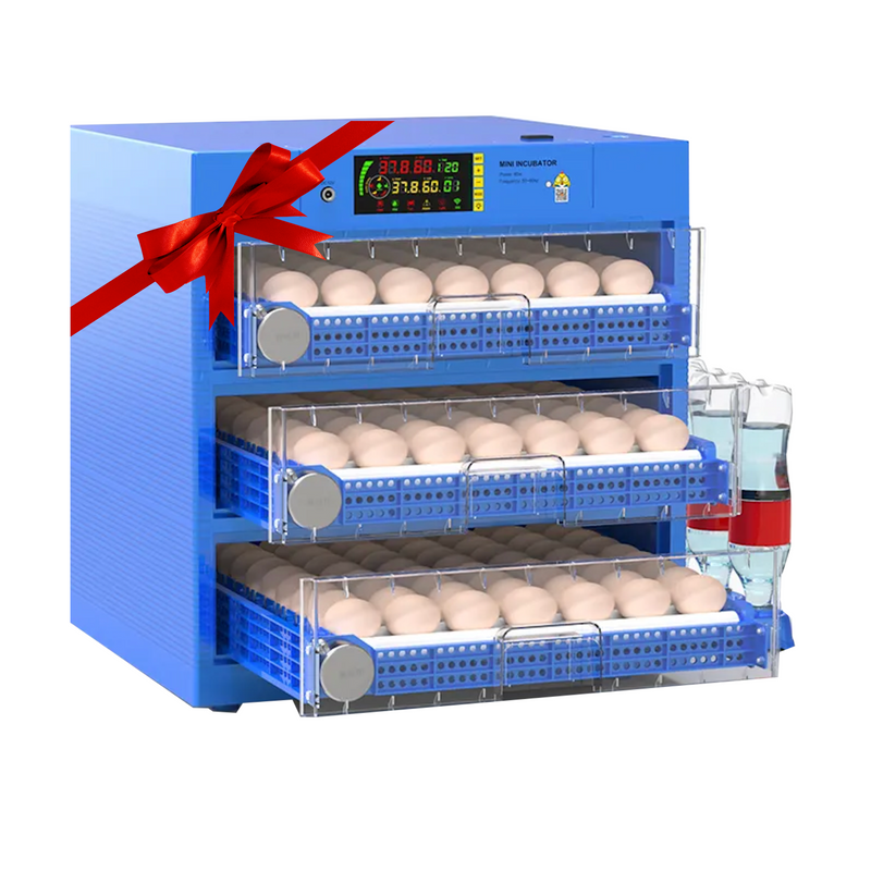 Blue Diamond Range – 300 Egg Automatic Dual Voltage Egg Incubator