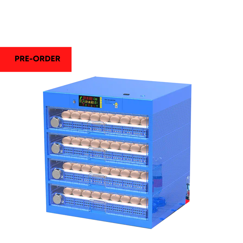 Blue Diamond Range – 240 Egg Automatic Dual Voltage Egg Incubator - PRE-ORDER