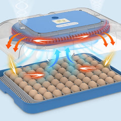 Platinum Range 70 Egg Incubator, Setter and Hatcher IN STOCK